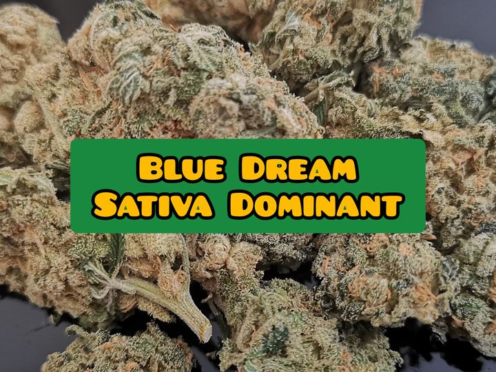 Blue-dream-weed-strain-review blue dream weed strain review